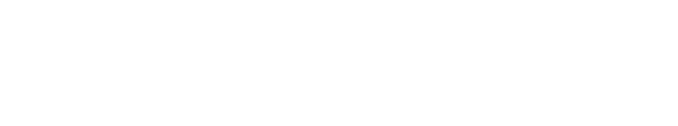 www.hirnsignals.com